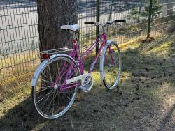 IMG_6213.jpeg