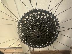 IMG_6797.jpeg
