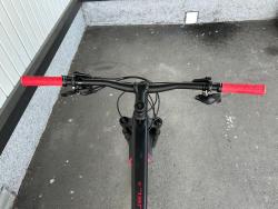 IMG_7037.jpeg