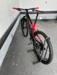 IMG_7044.jpeg