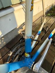 IMG_7252.jpeg