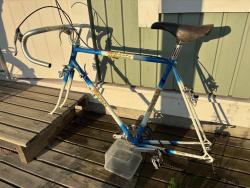 IMG_7257.jpeg