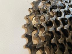 IMG_7316.jpeg