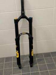 IMG_7369.jpeg