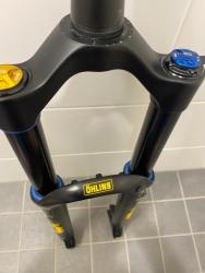 IMG_7372.jpeg