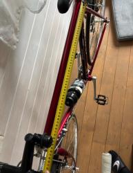 IMG_7513.jpeg