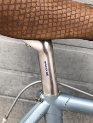 IMG_7572.jpeg