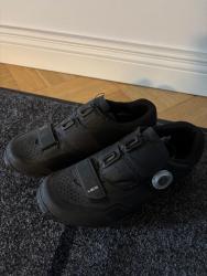 IMG_7689.jpeg