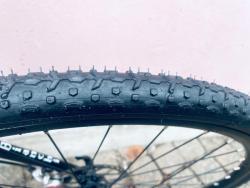 IMG_7901.jpeg