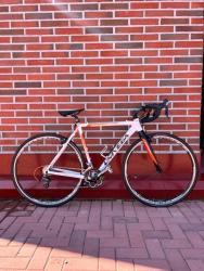 IMG_7988.jpeg