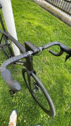 IMG_8692.jpeg