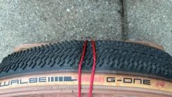 IMG_8913.jpeg