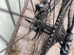 IMG_9238.jpeg