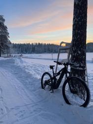 IMG_9620.jpeg