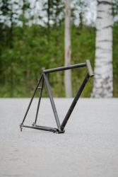 Pelago-5.jpg