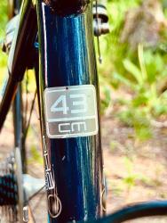 Trek 16.jpg