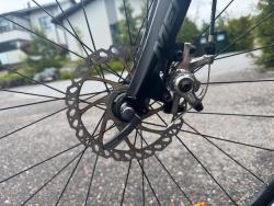 merida - 3.jpeg