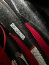 IMG_1038.jpeg
