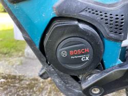 IMG_1135.jpeg