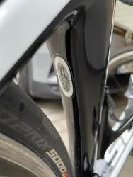 IMG_1428.jpeg