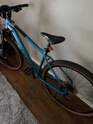 IMG_1505.jpeg