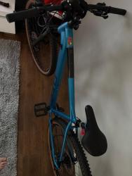 IMG_1508.jpeg