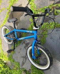 IMG_2277.jpeg