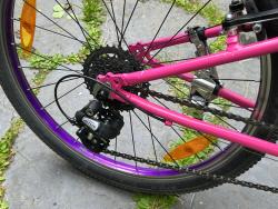 IMG_2348.jpeg