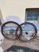 IMG_3535.jpeg