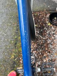 IMG_5042.jpeg