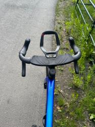 IMG_5785.jpeg