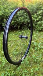 IMG_6456.jpeg