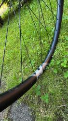 IMG_6458.jpeg