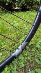 IMG_6459.jpeg