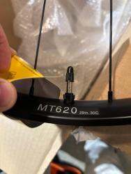 IMG_7014.jpeg