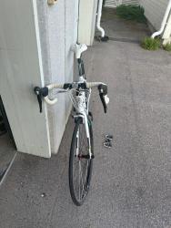 IMG_7809.jpeg