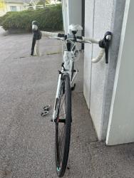 IMG_7813.jpeg