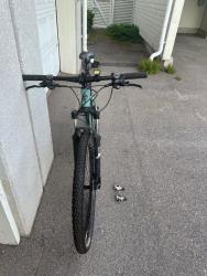 IMG_7816.jpeg