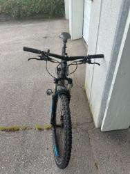 IMG_7824.jpeg