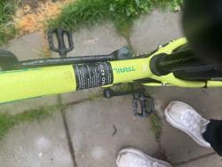 IMG_8158.jpeg