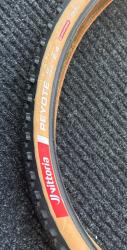 IMG_8280.jpeg