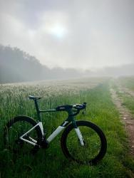IMG_8710.jpeg