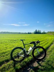IMG_8916.jpeg