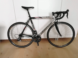 caad9_oikea.gif