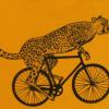 Pyöräilevä gepardi